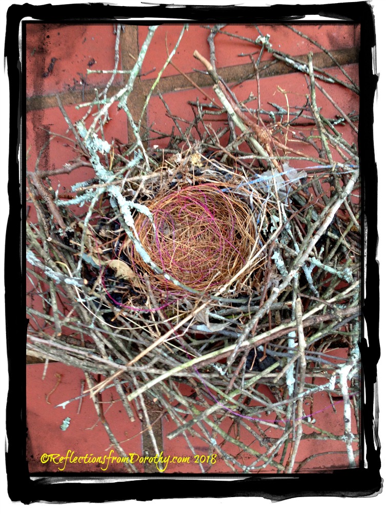 Nest3